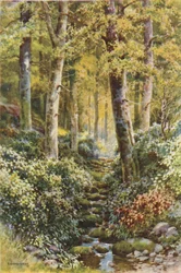Fairlight Glen (farve litho)