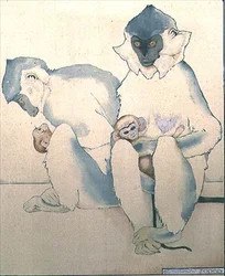 Babes (Sort-capped Langurs) (akvarel)