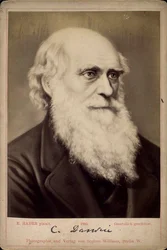 Charles Darwin, britisk naturforsker, c1860