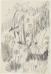 Blomstereng