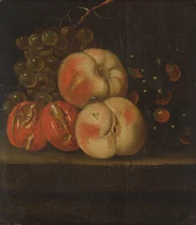 Frugtstudie