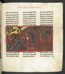 Eller. 607 f051r, Scene fra Jomfru Marias liv, fra 