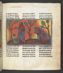 Eller. 607 f174r, Scene fra Jomfru Marias liv, fra 