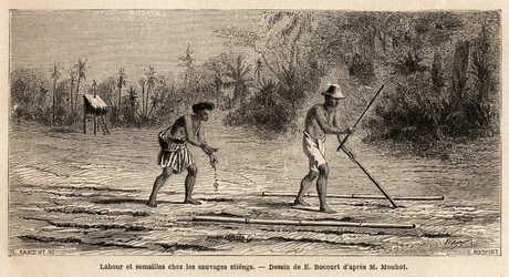 Pløjning og såning blandt de vilde Stiengs, indbyggere i Cambodjas skove, tegning af E.Bocour, for at illustrere Henri Mouhots rejse gennem kongerigerne Siam, Cambodja og Laos fra 1858 til 1861. Indgravering i “” Le tour du monde”” , redigeret