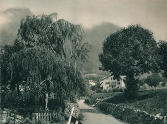 Vejen til Tyrol Slot, Merano, Sydtyrol, Italien, 1927