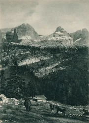 Udsigt over Brenta-gruppen med alpine græsgange, Madonna di Campiglio, Dolomitterne, Italien, 1927