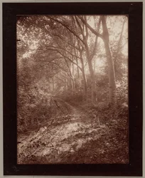 Parc de Sceaux