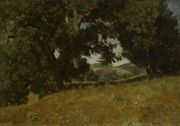 Landskab