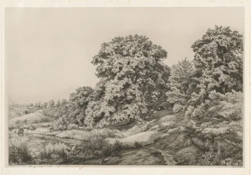 Ege nær en dam