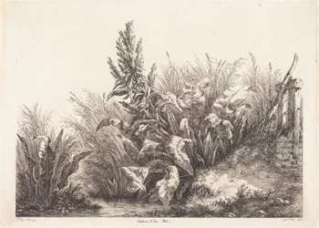 Vandskræppe, studie