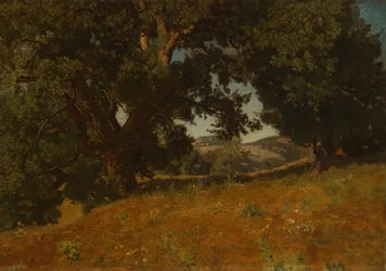 Landskab
