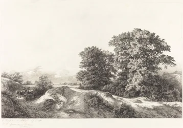 Oaks i Vaux de Cernay
