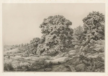 Oaks nær en dam, 1852.