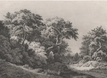 The Edge of the Woods, nær Rambouillet, 1860.