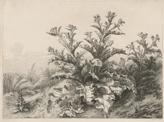 Den store tidsel (Le Grand Chardon)