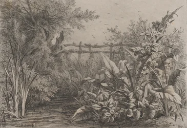 Dammen, 1857.