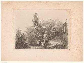 Waterzuring en riet aan de oever Vand tålmodighed ved den lille ventil Studier tegnet og indgraveret fra naturen (...) (serietitel)