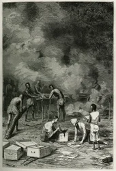 Tørringen af herbarieplanter på store bambusler, før lægen klassificerer dem og opbevarer dem i sine kasser, graveret af Eugene Burnand, for at illustrere historien om Laos og de vilde befolkninger i Indokina af doktor Harmand, i 1877, udgivet