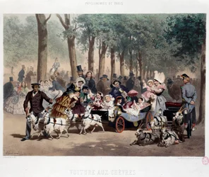 Gå i bil i Tuileriehaven i Paris i det 19. århundrede Litografi af Eugene Guerard (1821-1866) 1800-tallets Paris, Musee Carnavalet