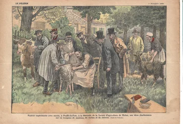 På Pouilly-le-Fort testede Pasteur efter anmodning fra Melun Agricultural Society med succes sin miltbrandvirus på en flok får, køer og geder., Le Pèlerin, 5/11/1922 (print)
