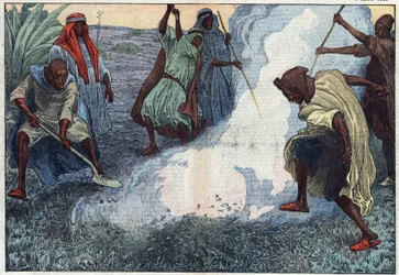 Ødelæggelsen af græshopper i Algeriet: Araberne brænder dem under råb og skænderier. Illustration af Damblans. I "" Le Pelerin"" af 4. juli