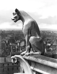 Gargoyle fra balustraden i Grande Galerie på vestfacaden, replika af en original (sten) fra det 12. århundrede (s/h foto)