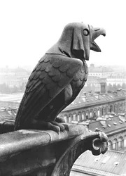 Gargoyle fra balustraden i Grande Galerie på vestfacaden, replika af en original (sten) fra det 12. århundrede (s/h foto)