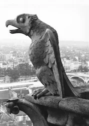 Gargoyle fra balustraden i Grande Galerie på vestfacaden, replika af en original (sten) fra det 12. århundrede (s/h foto)