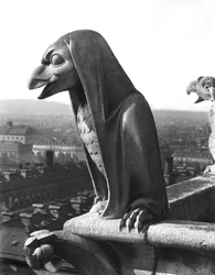 Gargoyle fra balustraden i Grande Galerie, replika af en original (sten) fra det 12. århundrede (s/h foto)