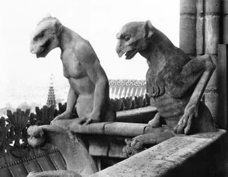 Gargoyler fra balustraden i Grande Galerie på vestfacaden, replika af en original (sten) fra det 12. århundrede (s/h foto)