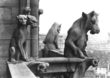 To gargoyler fra balustraden i Grande Galerie på vestfacaden, replika af en original (sten) fra det 12. århundrede (s/h foto)