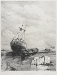 Lavvande