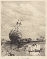 Lavvande
