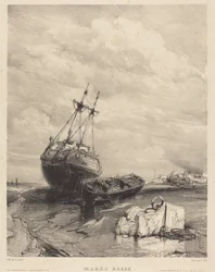 Lavvande