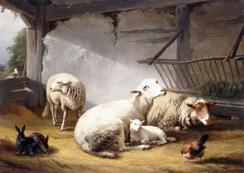 Får, kaniner og en kylling i en lade, 1859