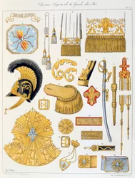 Lette Heste af Kongens Garde, Insignia