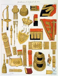 Gendarmer fra Kongens Garde, Insignia