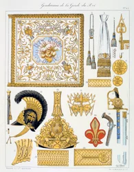 Gendarmer fra Kongens Garde, Insignia