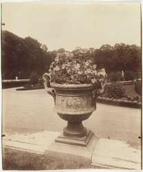 Versailles, Vase af Ballin, 1902.