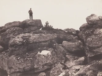 Franchard Gorges - Fontainebleau Forest Franchard Gorges Fontainebleau Forest..., 1863.