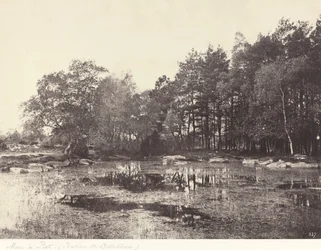 Marsh ved Piat (Belle-Croix Plateau)