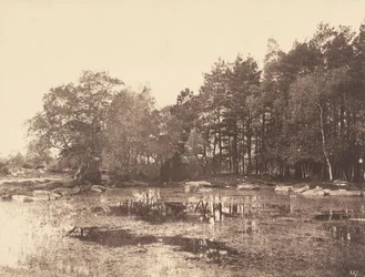 Sump ved Piat (Belle-Croix Plateau), ca. 1863 (foto)