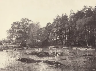 Marsh ved Piat Belle-Croix Plateau, ca. 1863.