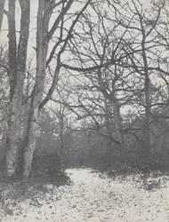 Vej i Skoven, 1860-1863.