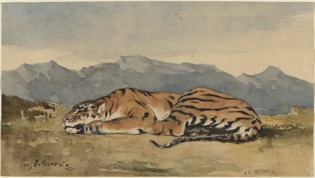 Tiger, ca. 1830.