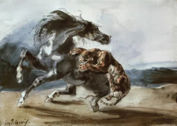 Tiger angriber en vild hest