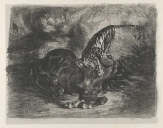 Vild hest fældet af en tiger, 1828., 1828.