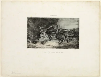 Ung tiger leger med sin mor