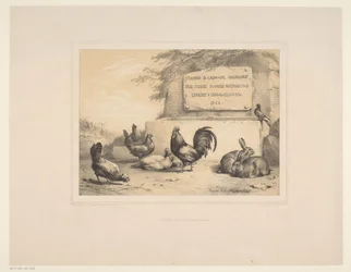 Titelprint med høns, kaniner og en due Forskellige dyr (serietitel) Etudes d