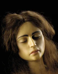 Anatomisk model af en ovariegraviditet, detaljer